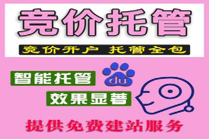 案例解读：百度竞价广告投放效果